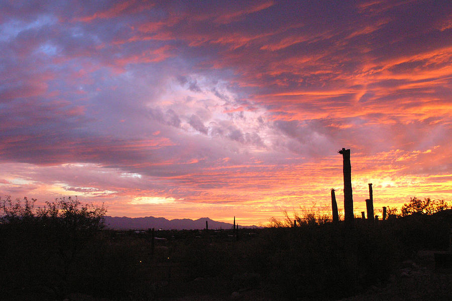 Dramatic Arizona Sunset Photograph by Dina Calvarese