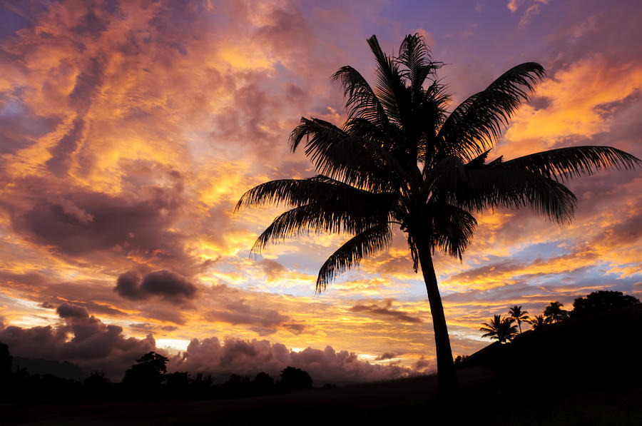 Dramatic Fiji Sunrise Photograph by Greg Vaughn - Printscapes