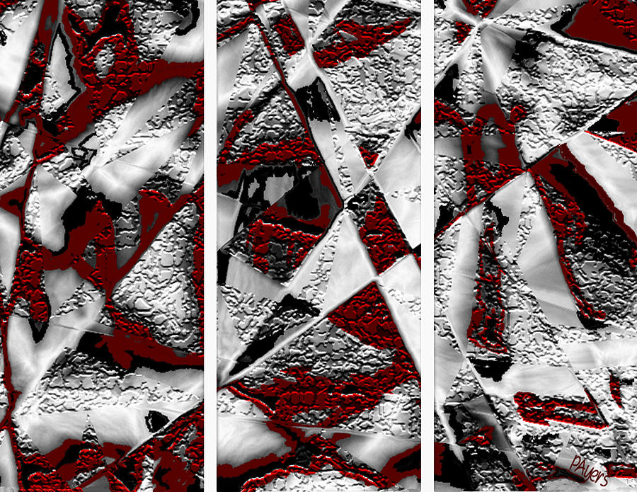 Dramatique Red Triptych Digital Art by Paula Ayers
