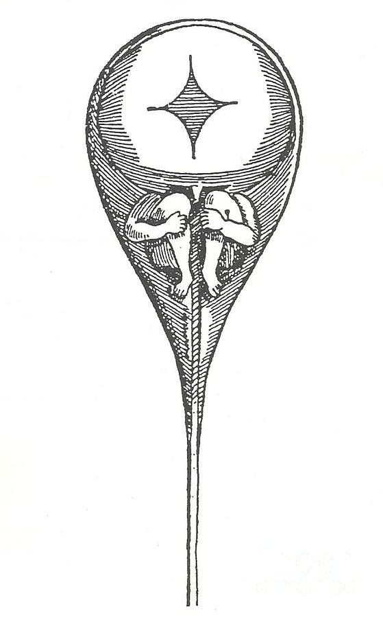 Drawing Of Homunculus, 1694 Photograph by Science Source