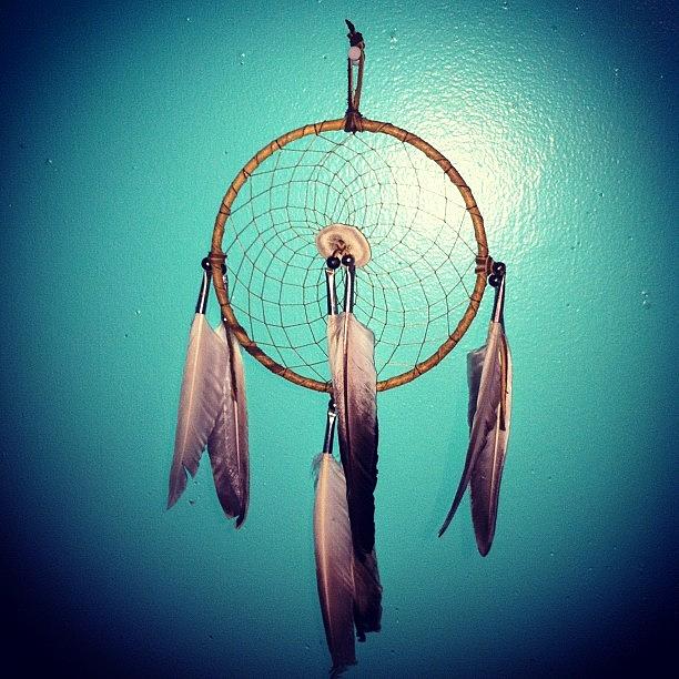 Feather Still Life Photograph - Dream Catcher by Brittany Severn