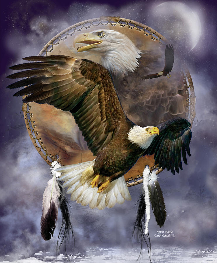 Dream Catcher - Spirit Eagle by Carol Cavalaris