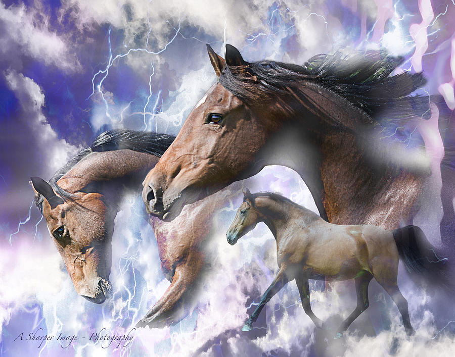 Dream Horses Photograph by Linda Finstad