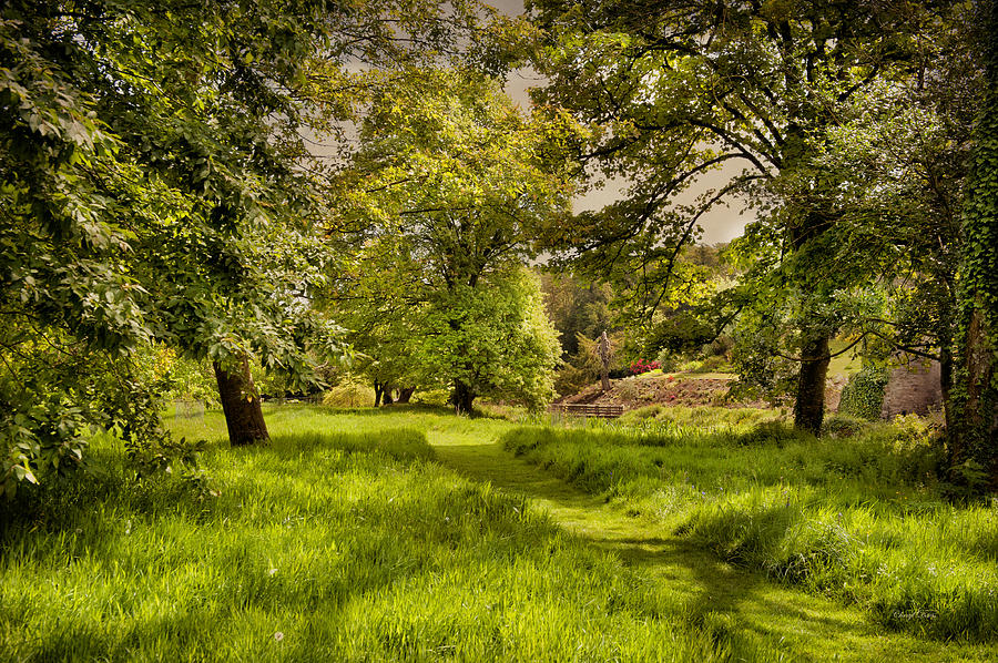 Garden Photograph - Dreaming Of Ireland by Cheryl Davis