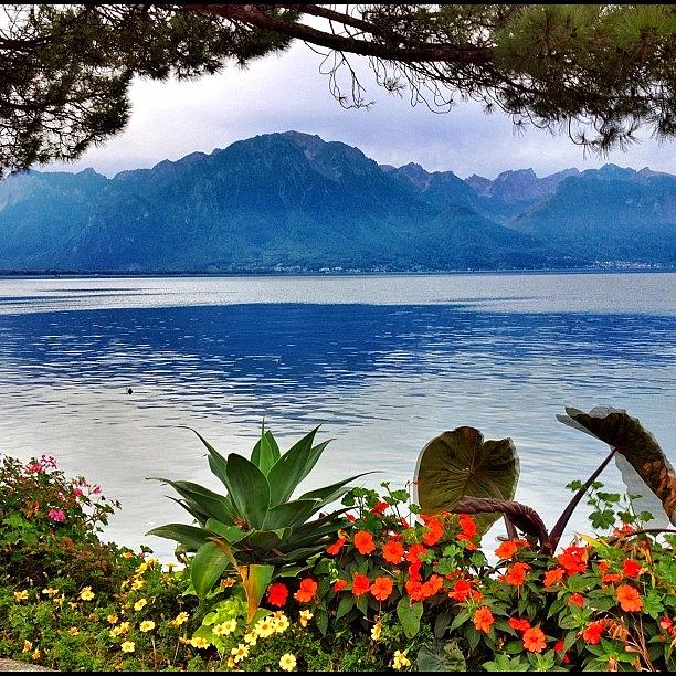 Mountain Photograph - Dreaming Of Montreux From Jfk by Dave And Deb