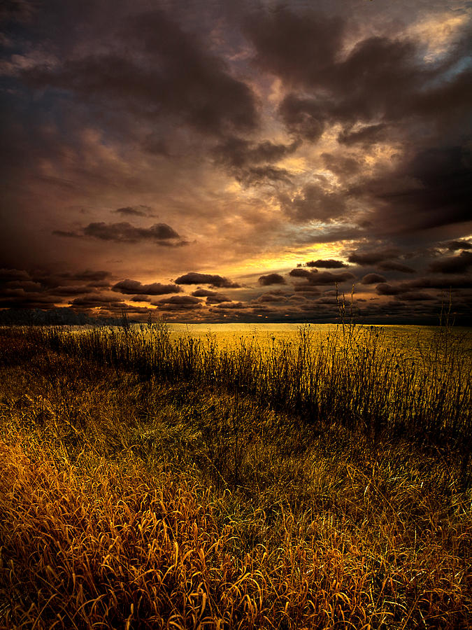 Landscape Photograph - Dreamland Lullaby by Phil Koch