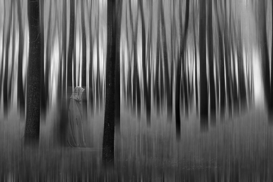 Jungle Photograph - Dreams-2 by Okan YILMAZ