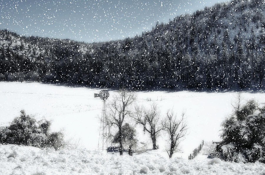Dreams of Snow  Photograph by Saija Lehtonen