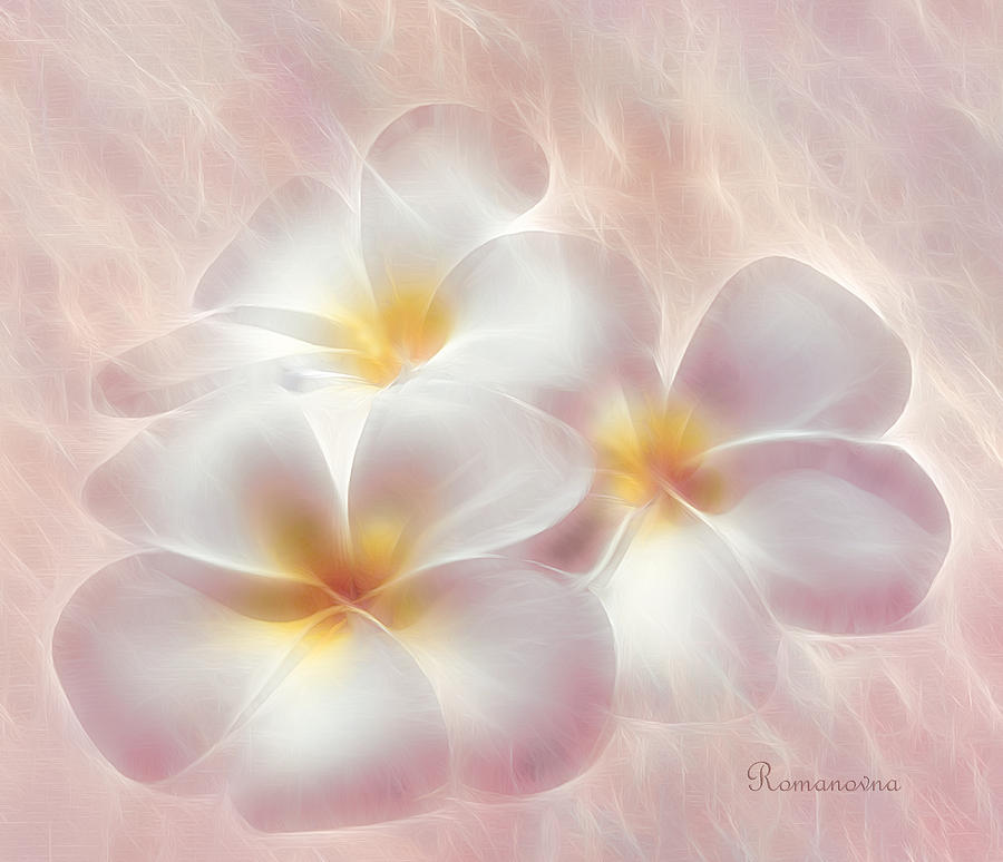 Flower Mixed Media - Dreams Of You by Georgiana Romanovna