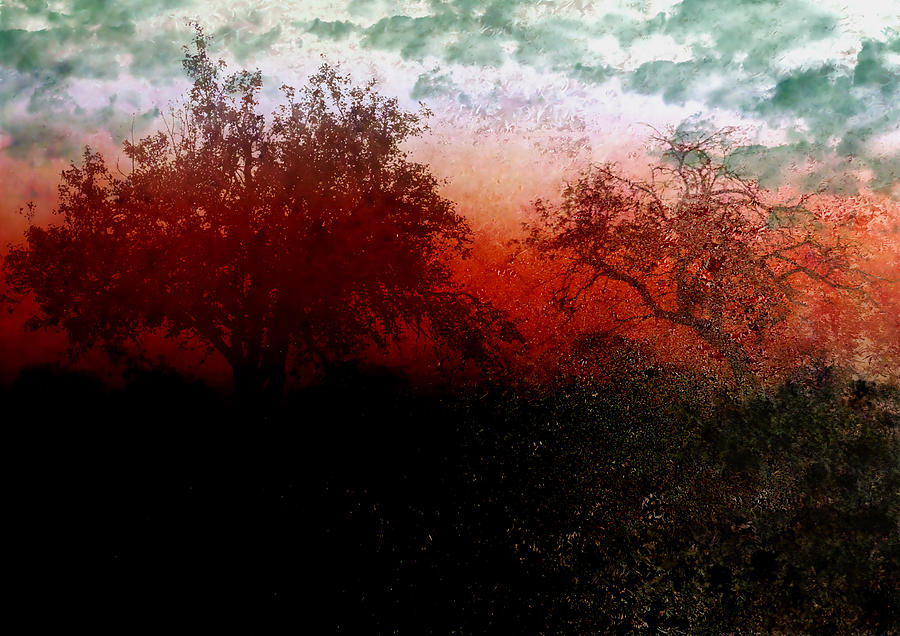 Dreamscape Sunset - Abstract Photograph by Ellen Heaverlo