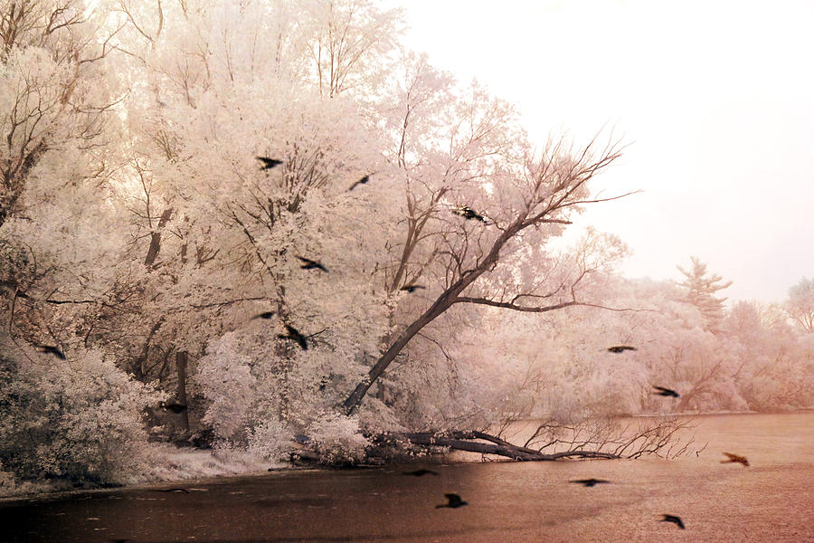 Purple Nature Photograph - Dreamy Ethereal Infrared Lake With Ravens Birds by Kathy Fornal