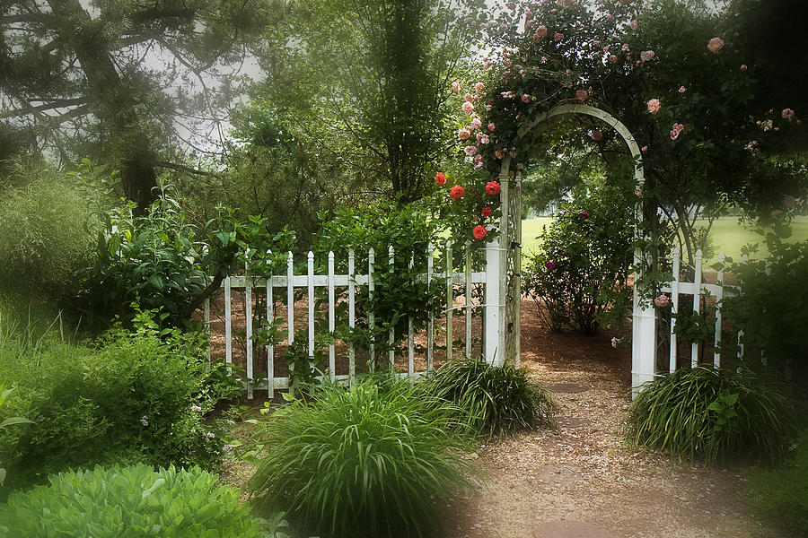 Dreamy Garden Photograph by Trudy Wilkerson