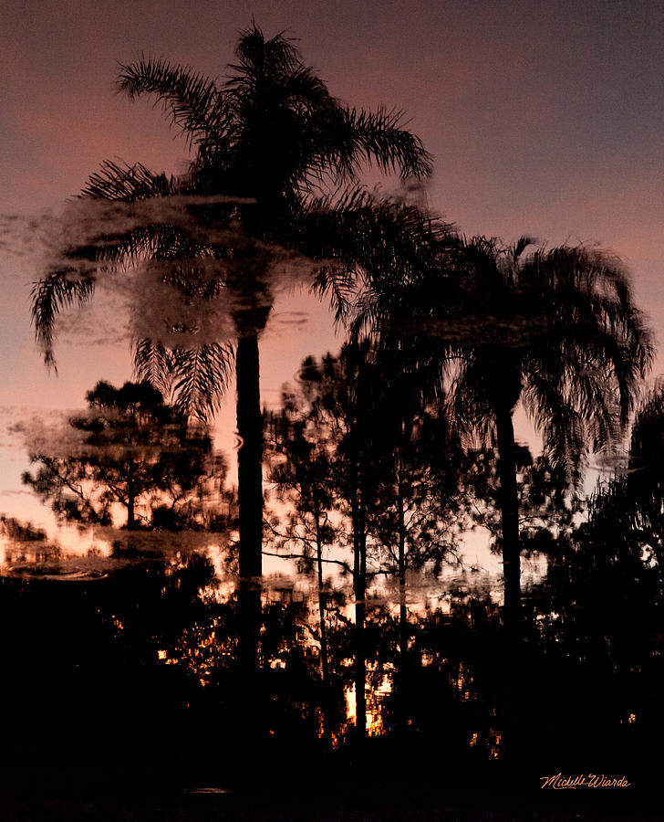 Tree Photograph - Dreamy Sunset by Michelle Constantine