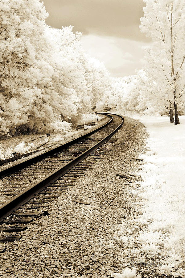 Railroad Tracks Photograph - Dreamy Surreal Infrared Sepia Railroad Scene by Kathy Fornal