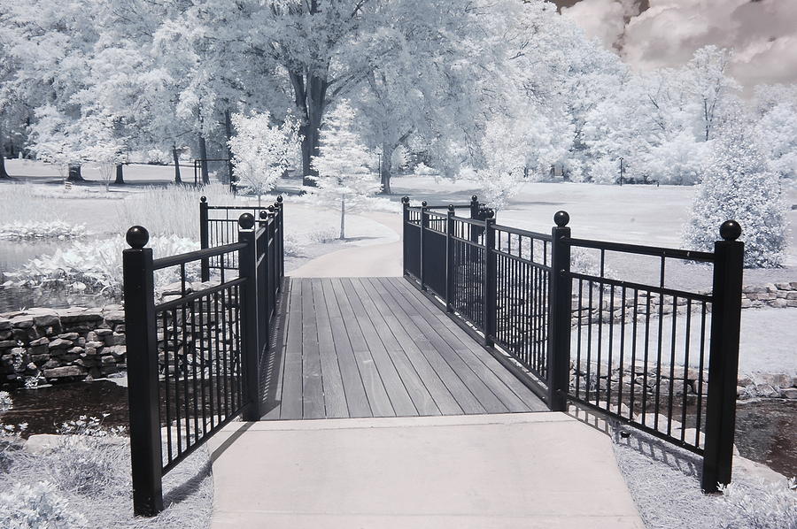 Dreamy Surreal South Carolina Infrared Gate Scene Photograph by Kathy Fornal