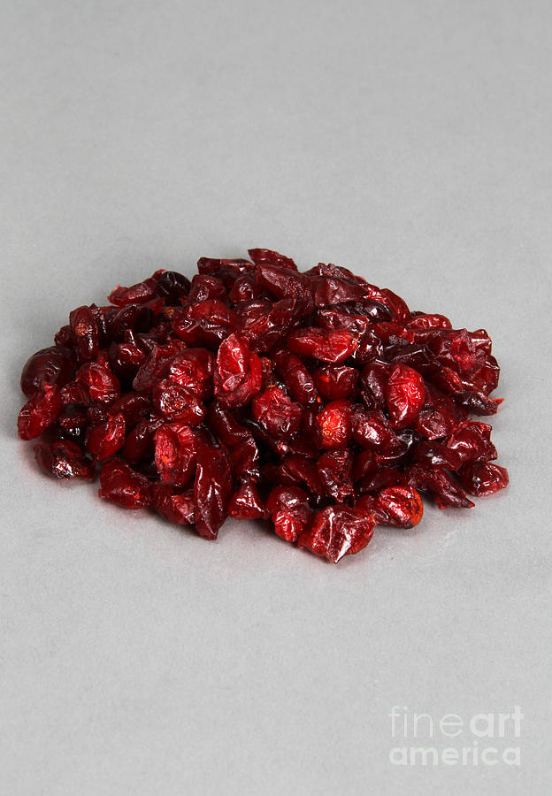 Dried Cranberries Photograph by Photo Researchers