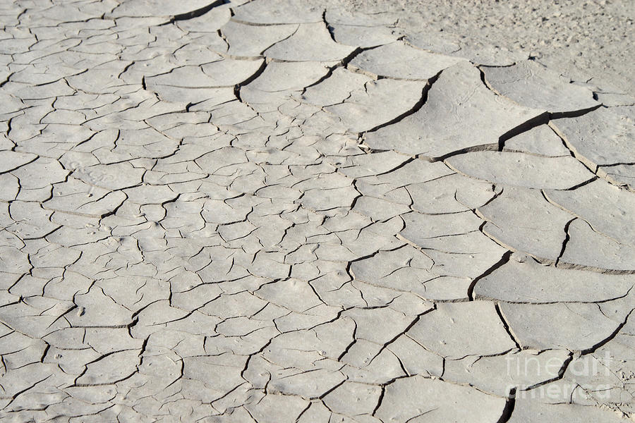 Dried Mud Photograph by Ted Kinsman