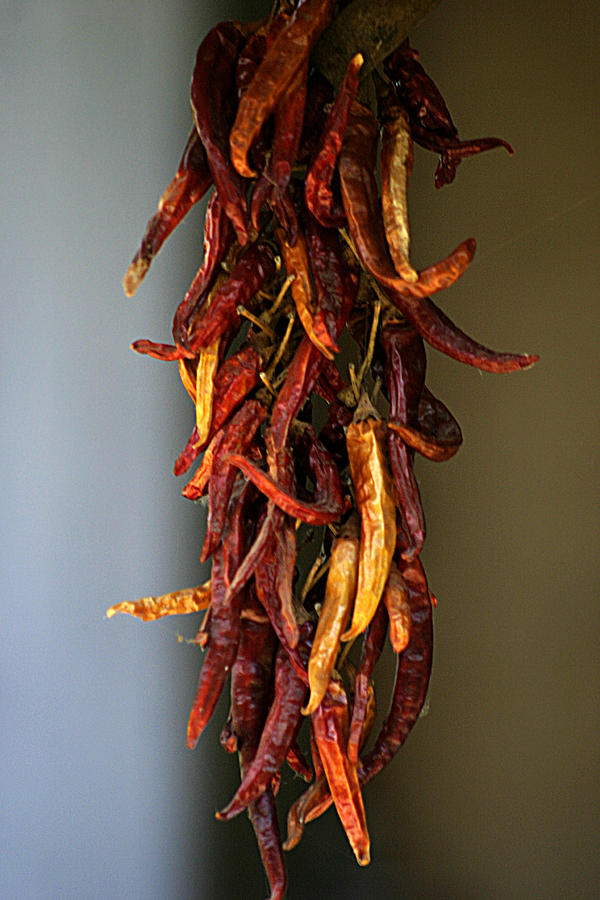 Dried peppers Photograph by Emanuel Tanjala