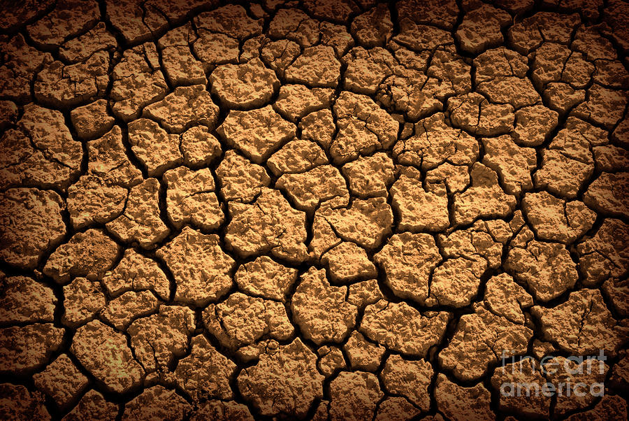 Nature Photograph - Dried Terrain by Carlos Caetano
