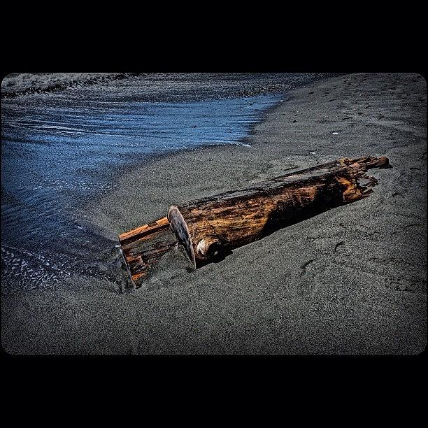 Drift Wood. Brookings, Oregon. 2012 Photograph by Rodino Ayala