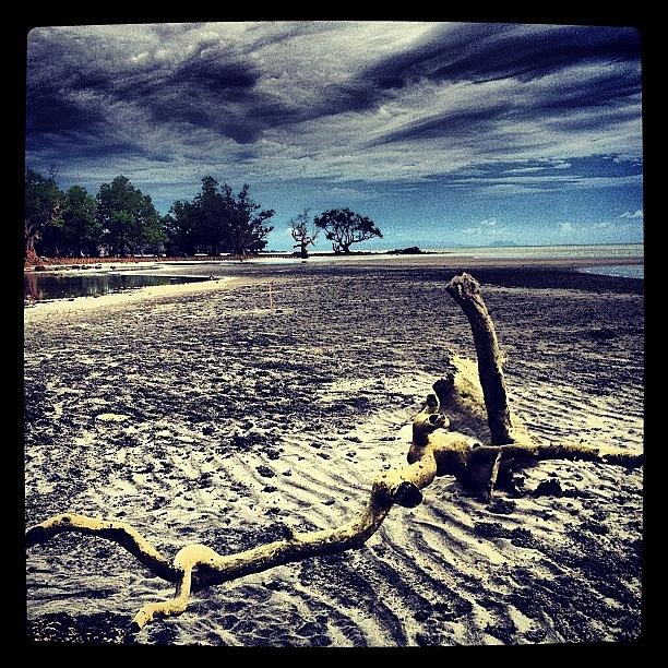 Instagram Photograph - Drift Wood By The Sea #igersmanila by Rye Basco