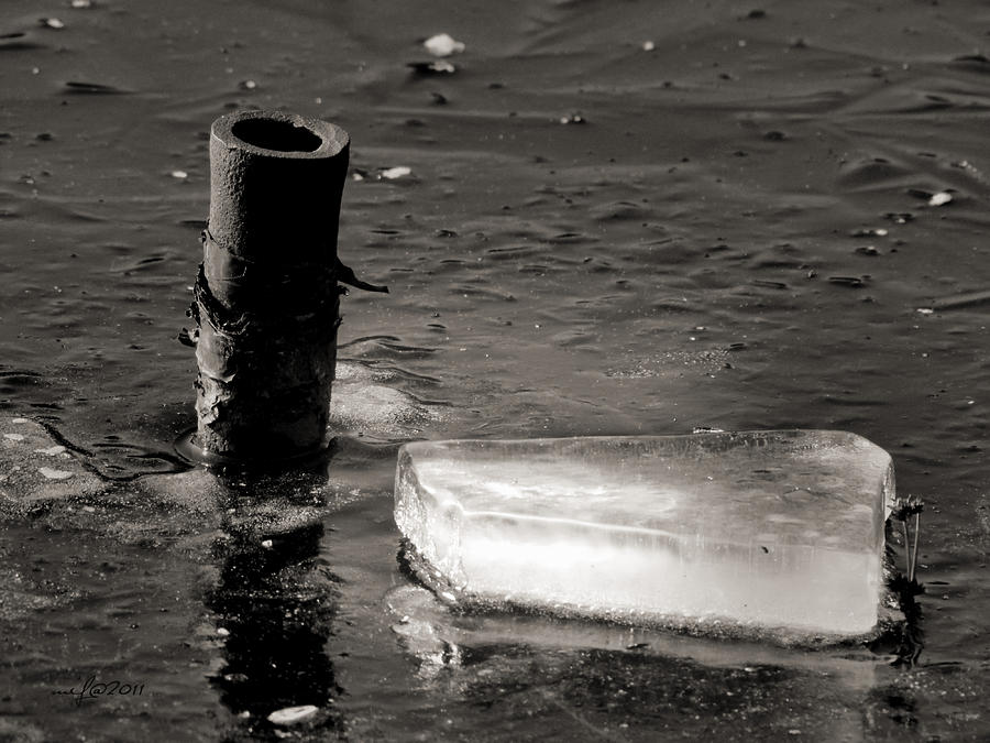 Drifting Ice 9087 Photograph by Maciek Froncisz