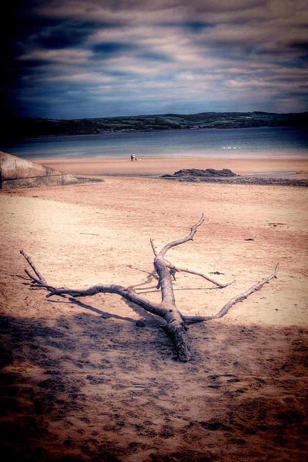 Beach Photograph - Driftwood 2 Lomo by Steve Purnell