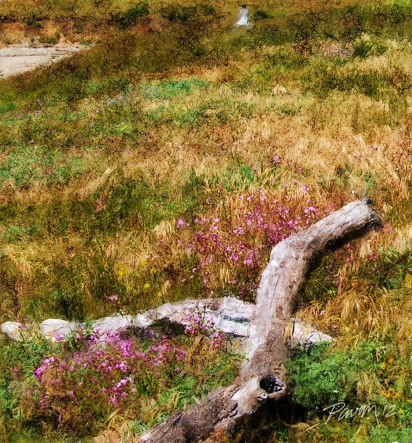 Driftwood and Wildflowers I Digital Art by Jim Pavelle