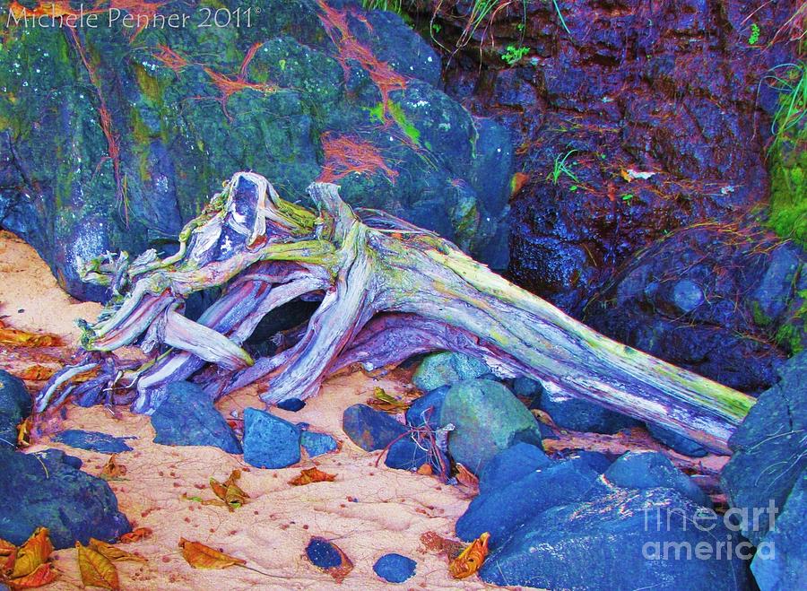 Driftwood Art Photograph by Michele Penner
