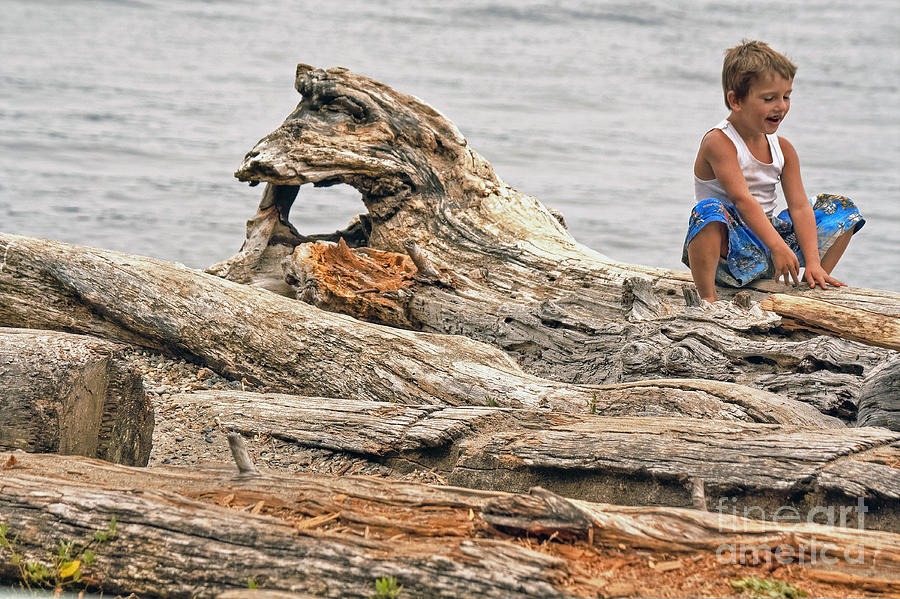 Driftwood Play Photograph by Chris Anderson