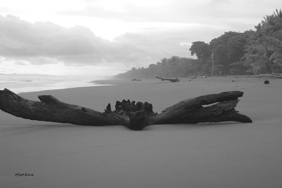 Driftwood Playa Hermosa Pacific Coast Costa Rica Photograph by Michelle Constantine