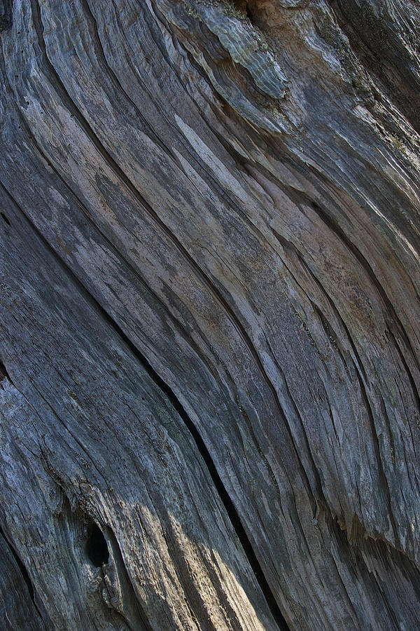 Driftwood Ridges 2 Photograph by David Kleinsasser