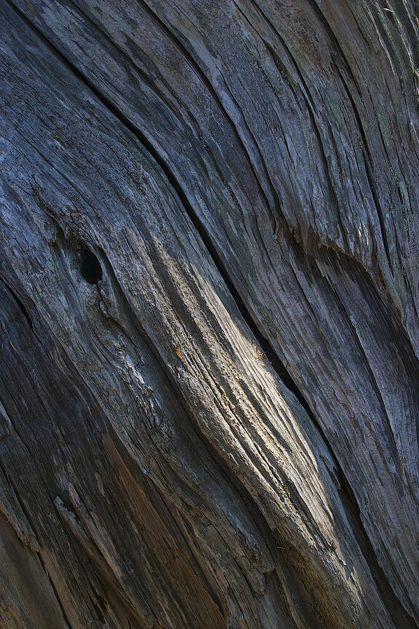 Driftwood Ridges 4 Photograph by David Kleinsasser