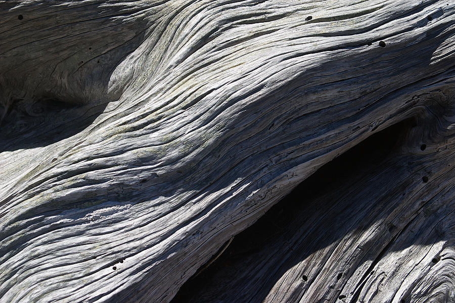 Driftwood Ridges 6 Photograph by David Kleinsasser