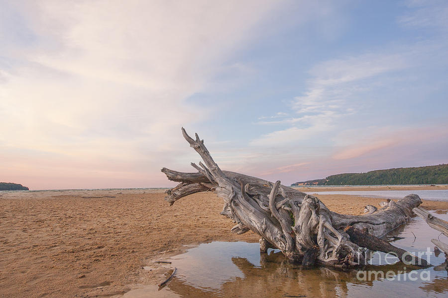 Driftwood Sunset Photograph By Debra Melton Fine Art America