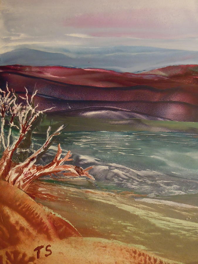 Mountain Painting - Driftwood by Terry Sussman