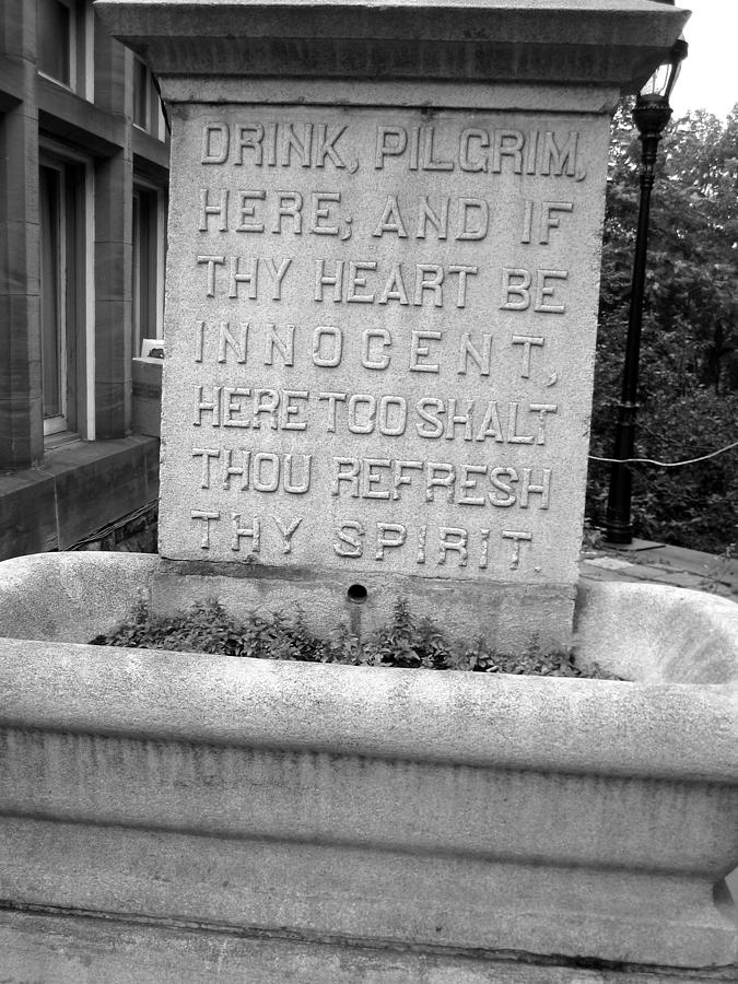 Drink Pilgrim Here Photograph by Susan Carella
