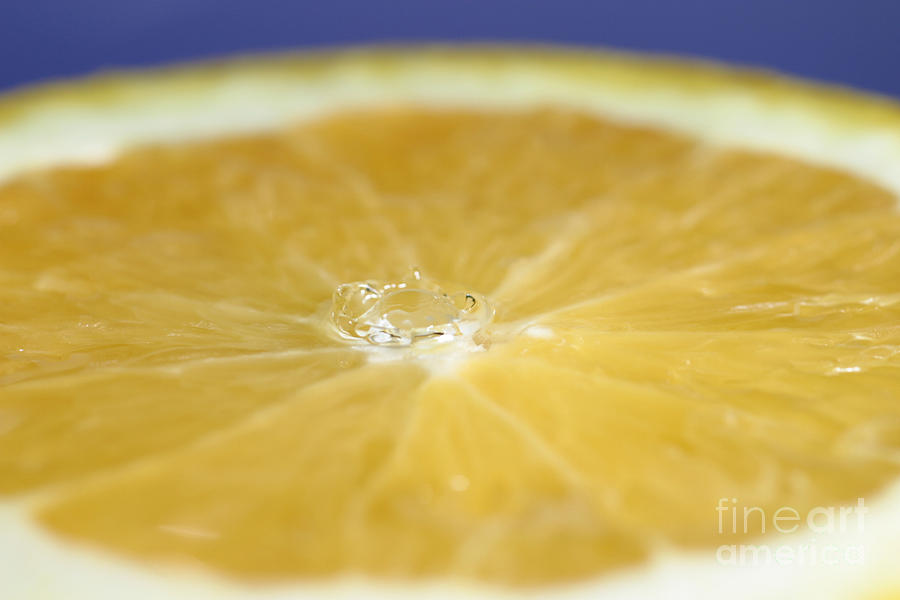 Drip Over An Orange Photograph by Ted Kinsman