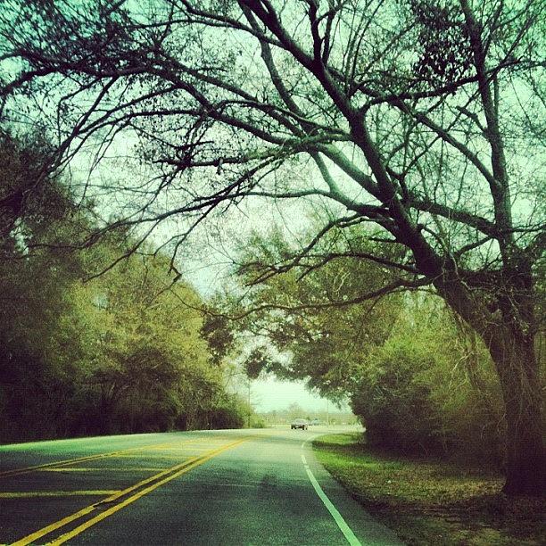 Tree Photograph - #driving #downtheroad #popularpage by Seth Stringer