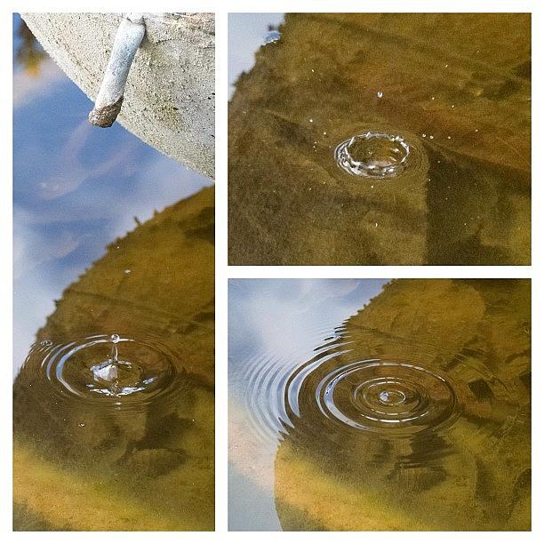 Nikon Photograph - Drop In A Pond Sequence by Marco Barberio