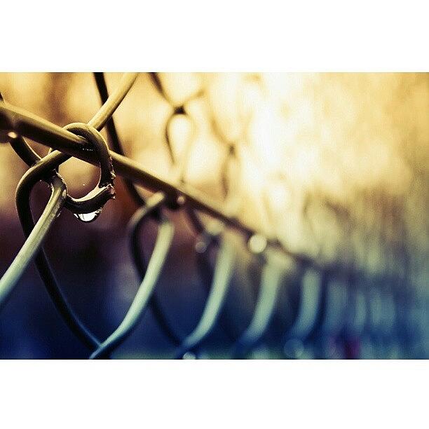 Beautiful Photograph - Drop |lurpis @ Kik. #iphonesia by Robin Hedberg