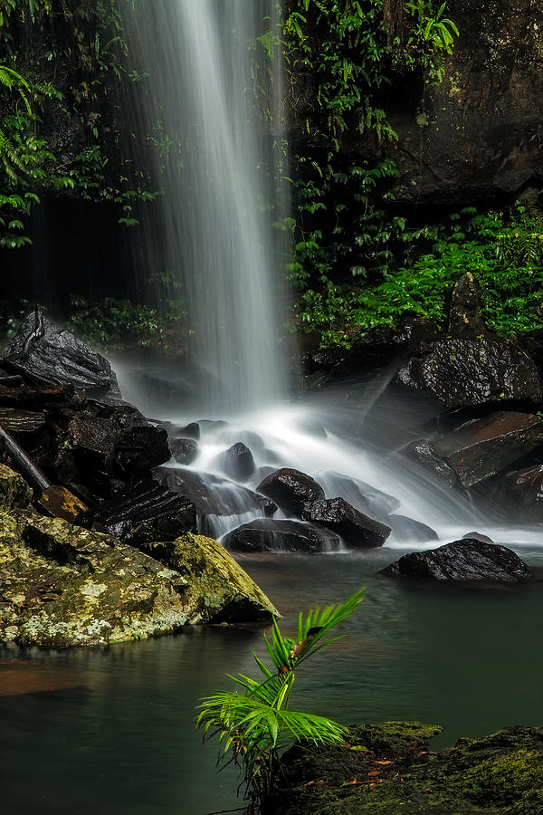 Waterfall Photograph - Droplets of Life by Mark Lucey