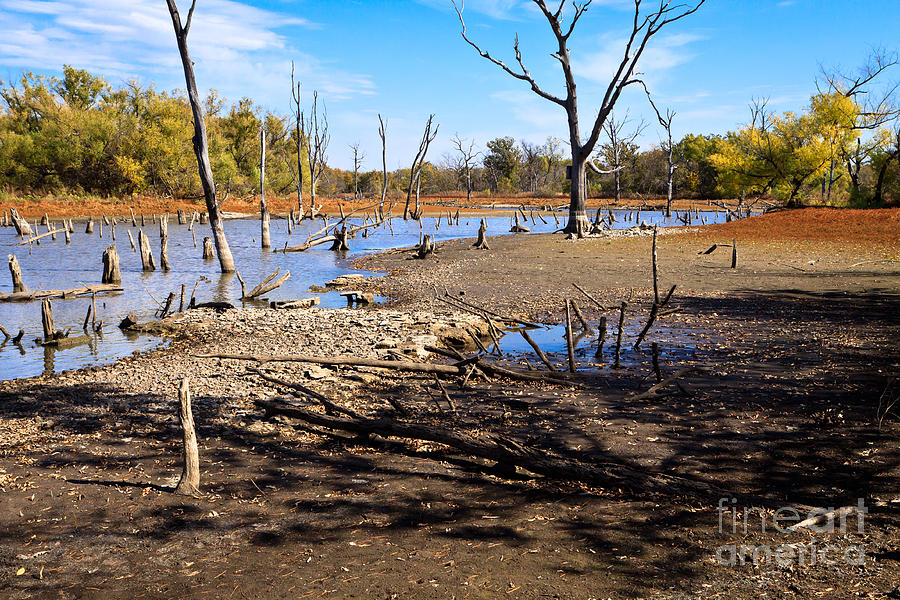 Drought in the Flint Hills Photograph by Lawrence Burry