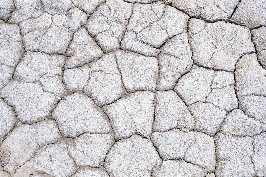 Dry And Cracked Ground Pattern Photograph by Konrad Wothe