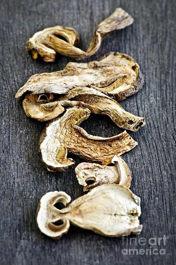 Mushroom Photograph - Dry porcini mushrooms by Elena Elisseeva