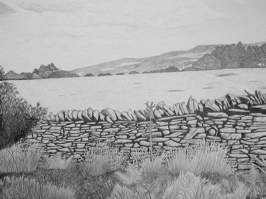 Dry stone wall Drawing by John Davies. 