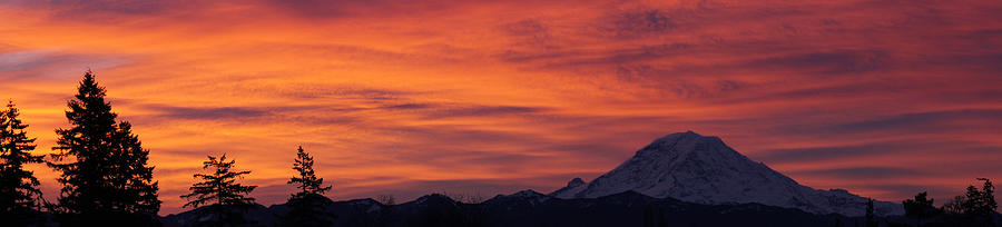 DSC03437 - January Sunrise Pan Photograph by Shirley Heyn
