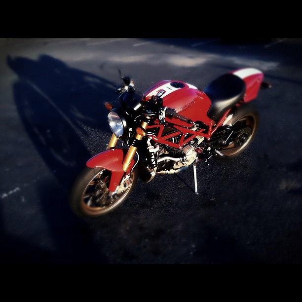 Motorcycle Photograph - Ducati Monster. #iphoneonly #ig by Matthew Vasilescu