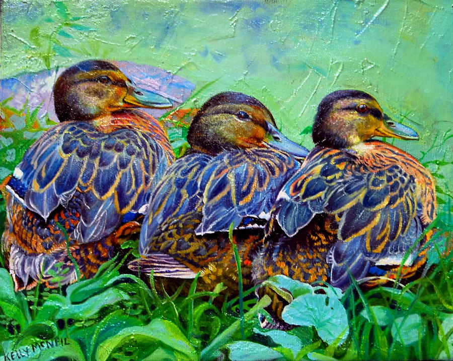 Duck Pond by Kelly McNeil