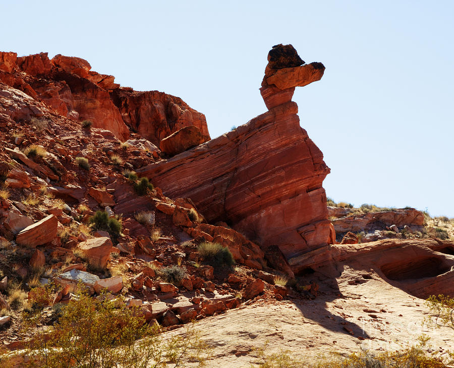 Duck Rock in the Valley of Fire Photograph by Vivian Christopher